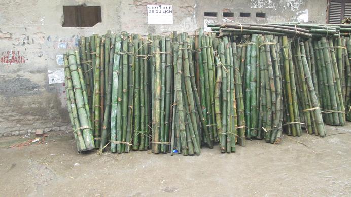 Đại lý cọc tre công trình Đà Nẵng